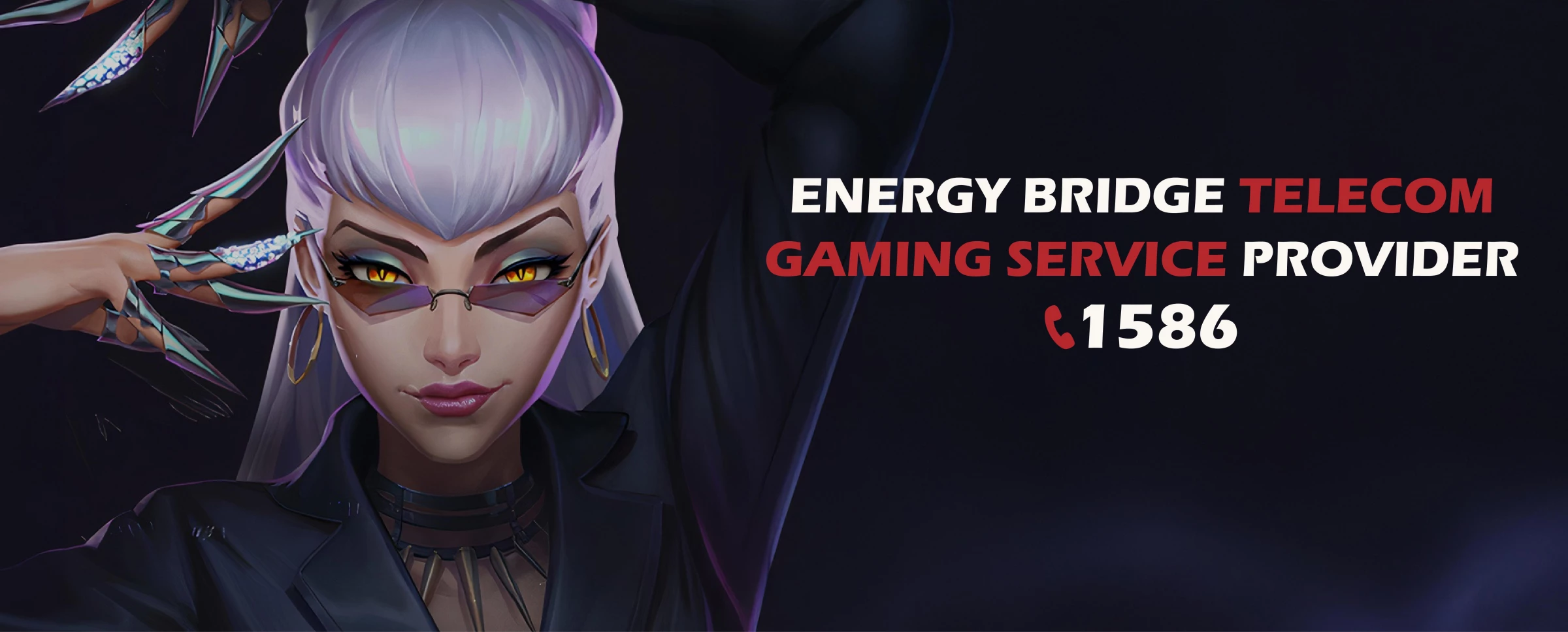 Banner Image